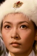 Hsu Feng