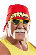 Hulk Hogan