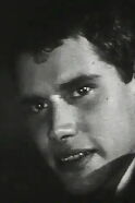 Jan van Mastrigt