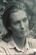 Jane Goodall