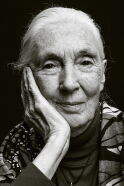Jane Goodall