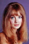 Jean Shrimpton