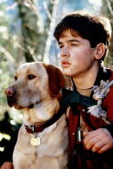 Jesse Bradford