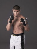 Joe Stevenson