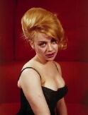 Judy Gringer
