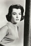 Judy Tyler