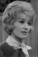 Julie Stevens