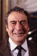Julien Guiomar