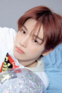 Jung Sung-chan