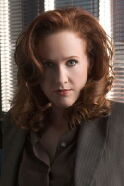 Katie Finneran