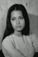 Lê Vân