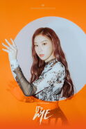 Lee Chae-ryeong