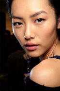 Liu Wen