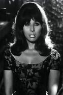 Lobna Abdel Aziz