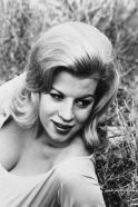 Lorna Maitland
