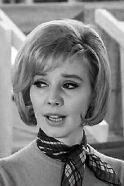 Lorraine Rogers