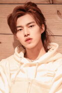 Lu Junjie