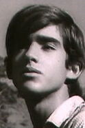 Luiz Fernando Ianelli