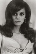 Lynn Loring