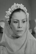 Malak Elgamal