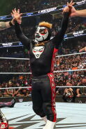 Mascarita Dorada