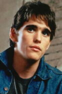 Matt Dillon