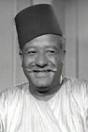Mohamed Kamel