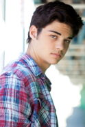 Noah Centineo
