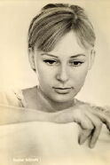 Regine Albrecht