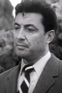 Ric Roman