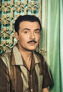 Salah Zulfikar