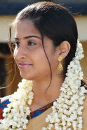 Shamili
