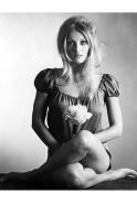 Sharon Tate
