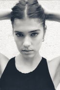 Shelley Q.
