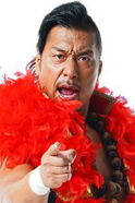 Shin Takagi