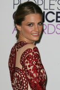 Stana Katic