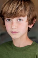 Steele Stebbins