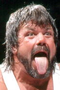 Steve Williams