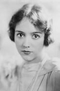Sylvia Field