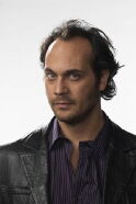 Todd Stashwick