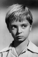 Tommy Rettig
