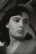 Tsitsino Tsitsishvili