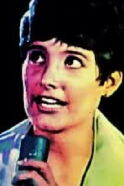 Vicki Volante