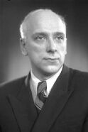 Vladimir Erenberg