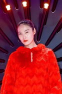 Wang Shiqing