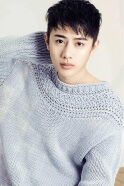 Wang Youshuo