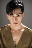 Wang Zichen