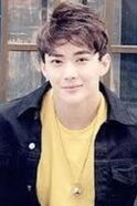 Yang Boxiao