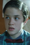 Zev Starrett