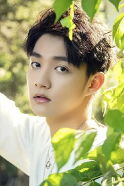 Zhao Ziqi